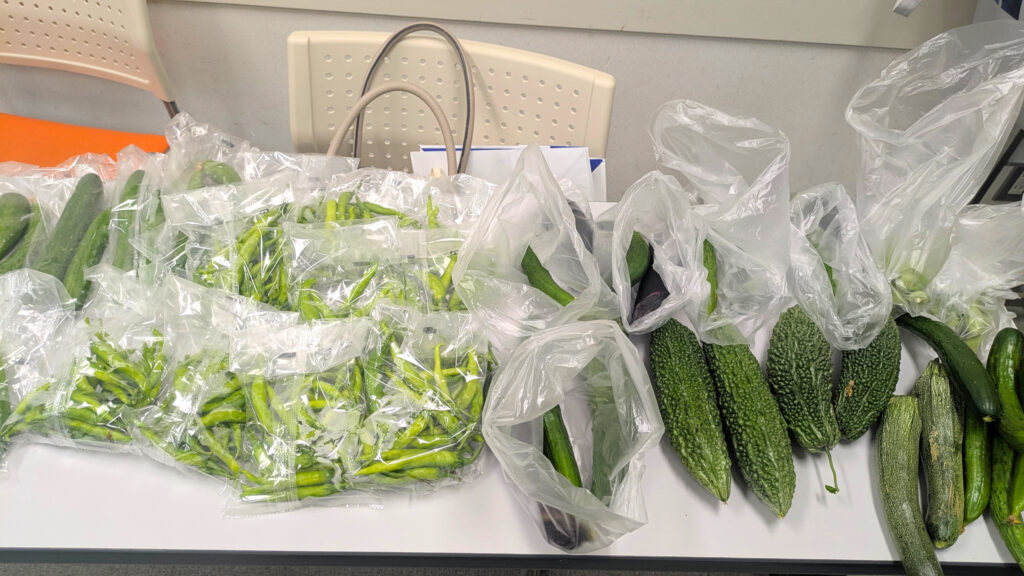 生徒さんからお野菜プレゼント